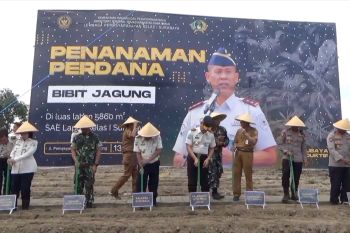 Lapas Porong ubah lahan tidur jadi ladang jagung demi ketahanan pangan
