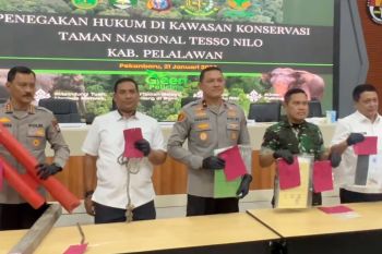 Polda Riau tetapkan sembilan tersangka perusakan fasilitas TNTN