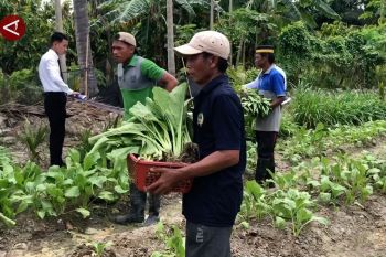 Warga binaan Lapas Sulteng suplai bahan pangan program MBG
