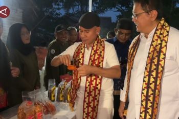 Wamentrans dukung produk program transmigrasi dari Lampung tembus pasar global