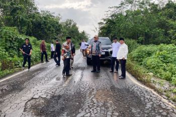 Bupati Kapuas tinjau kondisi jalan di Mantangai