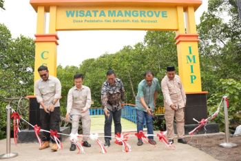IMIP kembangkan Desa Wisata Mangrove Padabaho