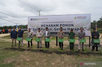 Agrinas Palma tegaskan pengelolaan sawit berkelanjutan di HUT pertama