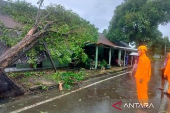 Denny JA menilai tiga gerbong suara potensial dibawa Gibran