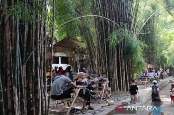 Mengubah eks-TPA menjadi lokasi wisata butuh tahapan ketat