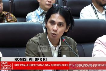 APFI kemukakan perlunya insentif untuk pengembangan IP film lokal