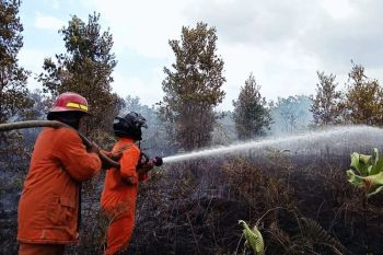 Polda Kepri bersama Polresta Barelang tangkap jaringan pencuri lintas provinsi