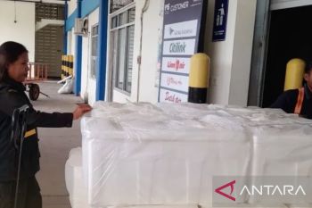 BKHIT Maluku periksa kelayakan 924 kepiting bakau hidup tujuan Jakarta