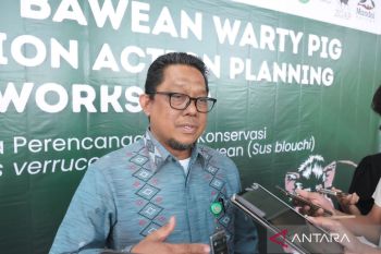 Kemenhut dukung upaya konservasi dua jenis babi kutil endemik Indonesia