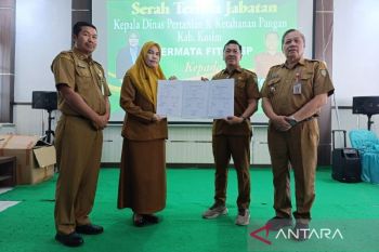 Pimpin DPKP Kotim, Yephi usung penerapan digitalisasi bidang pertanian