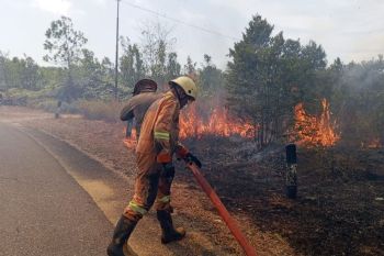 Damkar padamkan kebakaran lahan seluas empat hektare di Bintan-Kepri
