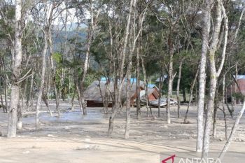 Direktur: RSUD Biak siap jika dipercaya periksa kesehatan paslon pilkada