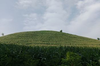 Lombok Tengah hadapi tekanan pembangunan, RTRW 2025--2045 jadi penentu arah