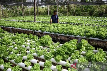 Dorong UMKM, pemerintah siapkan kredit program Rp332 triliun pada 2026