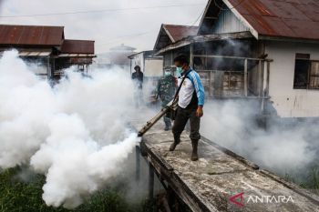 Indonesia urges stronger ASEAN cooperation against dengue threat