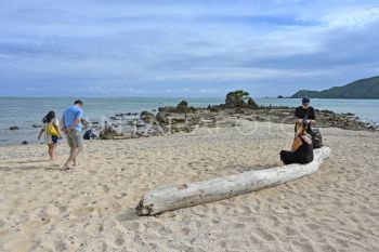 ADB tekankan komitmen kerja sama dengan PLN