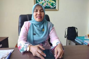 56.355 kepala keluarga di Agam terima PBP dari Bapanas