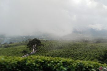 BRIGADE menutup jalur pendakian ke puncak Gunung Dempo