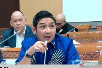 Pasha Ungu nilai BNPB perlu bertransformasi jadi kementerian bencana