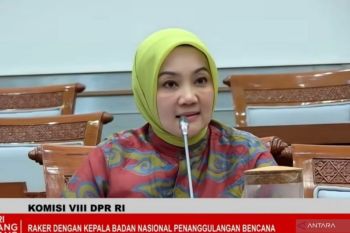 BNPB diminta siapkan sistem digital satu pintu data bantuan bencana