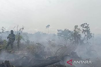 Pemkab Aceh Barat tetapkan status darurat bencana kebakaran hutan dan lahan