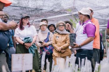 Petani sebut potensi kakao di Lampung Timur sangat menjanjikan