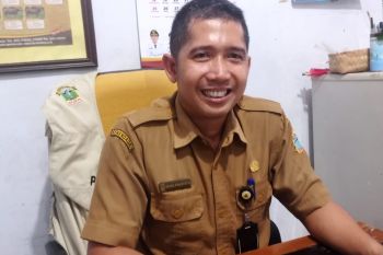 Pemkab Lebak gencar inseminasi buatan untuk tingkatkan populasi ternak