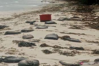 Wilayah udara dilanggar, Estonia ajukan konsultasi ke NATO