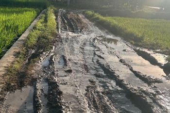 Bukan kolam ikan, Ini jalan antar dusun di Lombok Tengah rusak bertahun-tahun