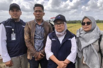 Bulog Sumsel Babel siap tambah gudang di sentra padi Musi Banyuasin