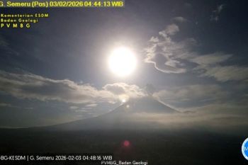 Gunung Semeru kembali erupsi dengan letusan setinggi 700 meter di atas puncak