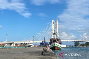 Imigrasi Kendari luncurkan layanan paspor digital IKENI LAPAK