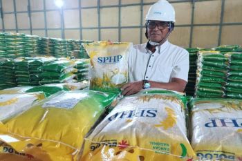 Stok beras Bulog Kalbar aman hadapi Imlek, Cap Go Meh, dan Ramadhan