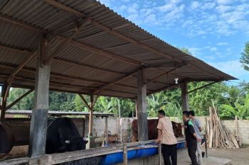 Pemprov Lampung lakukan edukasi peternak untuk kendalikan kasus PMK