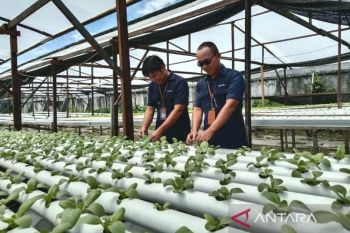 SATP terapkan pembelajaran sains berbasis edupreneur hidroponik