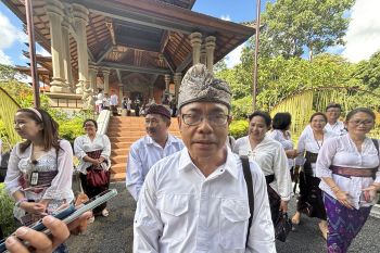 482.868 ekor HPR termasuk anjing di Bali sudah divaksinasi rabies