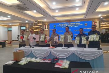 Polisi bongkar modus penyeludupan obat keras dalam botol vitamin ternak