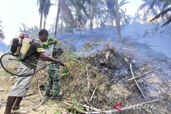 Pemkab Parigi Moutong buka opsi minta bantuan helikopter padamkan karhutla