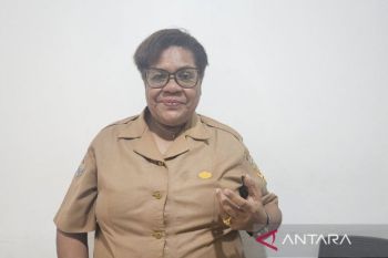 Pemprov Papua pastikan kesehatan hewan ternak sapi dan kambing
