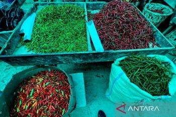 PIHPS: Harga cabai rawit merah dan telur ayam masih tinggi