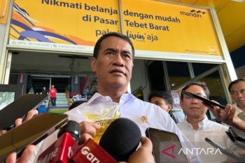 Mentan: Produksi dan stok pangan tetap aman di tengah dinamika cuaca