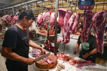 Legislator dukung langkah cepat responsif  Kementan stabilkan harga daging sapi