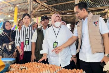 DMS Propertindo catat pendapatan perhotelan naik 33 persen