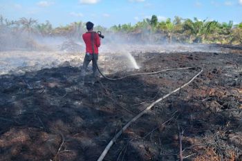 BMKG deteksi lonjakan 160 titik panas di Provinsi Riau