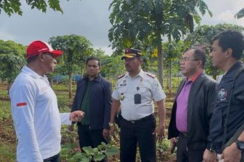 Wagub NTT menilai pertanian SAE Lapas Kupang perkuat ekonomi lokal