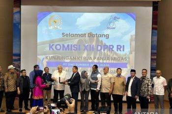Komisi XII ingatkan industri di Batam agar tidak cemari lingkungan