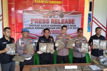 Polres Kuansing sita 21 pekat besar ganja kering, diungkap dari Lubuk Jambi hingga Pekanbaru