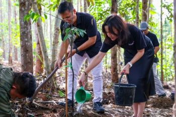 Otorita IKN libatkan swasta pulihkan pohon endemik Kalimantan