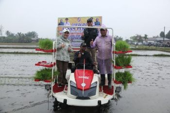 Pupuk Indonesia dukung gerakan tanam padi 3 kali dalam setahun di Deli Serdang