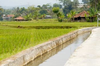 Kementan perkuat irigasi jaga produksi beras saat cuaca ekstrem
